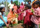 हर-घर मुनगा, घर-घर सुपोषण: लक्ष्मी राजवाड़े ने बच्चों के साथ किया पौधरोपण, दिया स्वास्थ्य और हरियाली का संदेश
