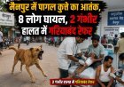 मैनपुर में पागल कुत्ते का आतंक, 8 लोग घायल, 2 गंभीर हालत में गरियाबंद रेफर