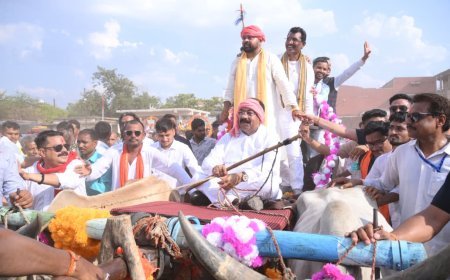 राजनीति में अनोखी मिसाल: डिप्टी सीएम अरुण साव बने विधायक दीपेश साहू की बैलगाड़ी बारात के सारथी