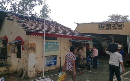आंधी-तूफान का कहर: पेंड्रारोड जीआरपी चौकी की छत उड़ी, कई इलाकों में पेड़ गिरे और बिजली व्यवस्था प्रभावित