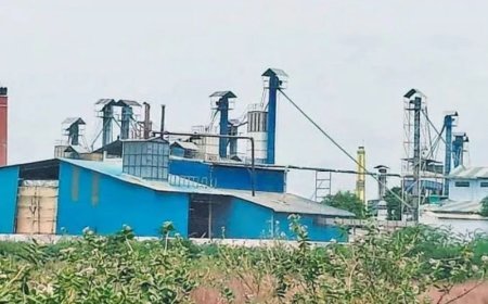 कस्टम मिलिंग उपार्जन आदेश के पालन पर उठे सवाल, खाद्य विभाग की कार्यप्रणाली पर लगे आरोप
