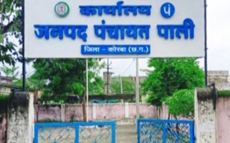 बसीबार पंचायत में वित्तीय अनियमितताओं के आरोप, ग्रामीणों में आक्रोश बढ़ा