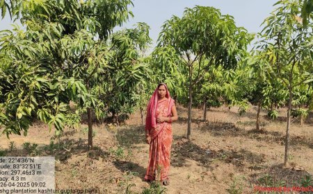 विश्व पर्यावरण दिवस पर रायगढ़ में हरित विकास का महाअभियान, जल संरक्षण और वृक्षारोपण को मिलेगी नई गति