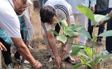 विश्व पर्यावरण दिवस पर रायपुर रेल मंडल में वृक्षारोपण, जलवायु परिवर्तन के प्रति जागरूकता का दिया संदेश