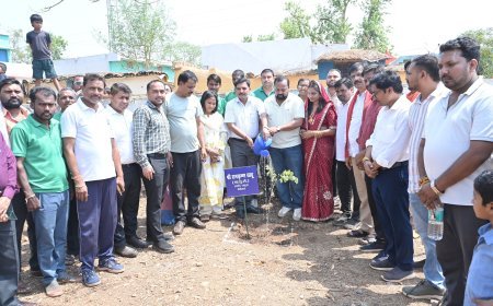 विश्व पर्यावरण दिवस पर विद्यालय परिसर में पौधारोपण, विधायक दीपेश साहू ने दिया पर्यावरण संरक्षण का संदेश