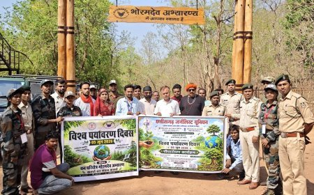 विश्व पर्यावरण दिवस पर करिया आमा जंगल सफारी में हुआ पौधारोपण, पत्रकारों और वन विभाग ने दिया हरित छत्तीसगढ़ का संदेश