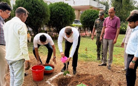 विश्व पर्यावरण दिवस पर कलेक्टर गोपाल वर्मा ने किया पौधरोपण, पर्यावरण संरक्षण का दिया संदेश