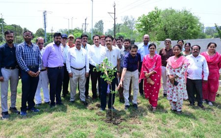 विश्व पर्यावरण दिवस पर संभागायुक्त कार्यालय में पौधरोपण, सुनील जैन ने दिया पर्यावरण संरक्षण का संदेश