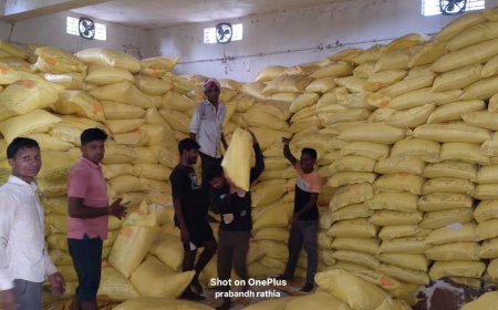 खरीफ सीजन से पहले रायगढ़ में खाद का पर्याप्त भंडारण, 7 हजार मीट्रिक टन उर्वरक वितरित