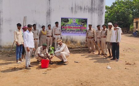 विश्व पर्यावरण दिवस पर कापसी वन कार्यालय में हुआ वृक्षारोपण, हरित भविष्य का लिया संकल्प