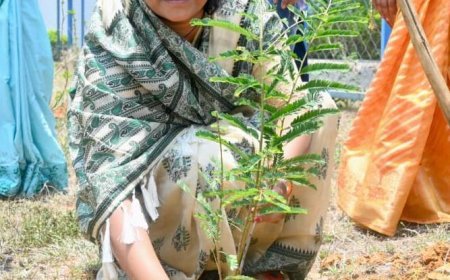 विश्व पर्यावरण दिवस पर लक्ष्मी राजवाड़े ने किया पौधरोपण, हरित छत्तीसगढ़ निर्माण का दिया संदेश
