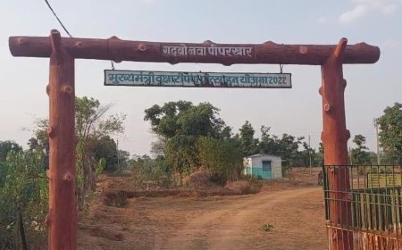 मुख्यमंत्री वृक्षारोपण योजना पर सवाल: 9 लाख खर्च, फिर भी सूख गए पौधे