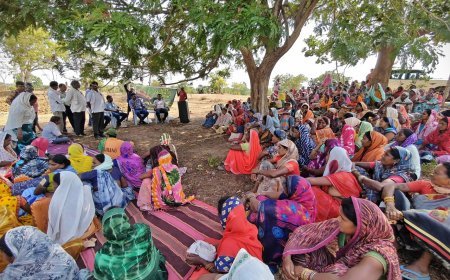 भैंसबोड़ में जल संरक्षण और हरियाली की अनोखी पहल, 3 हजार ट्रेंच में सीड बॉल से बीजारोपण