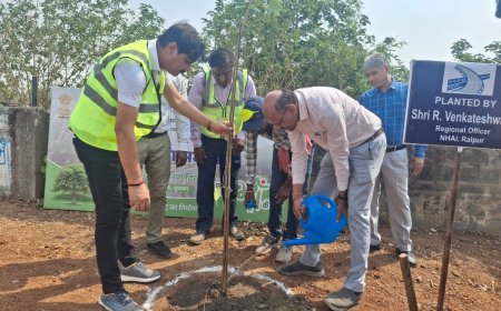 विश्व पर्यावरण दिवस पर एनएचएआई का वृक्षारोपण अभियान, 500 से अधिक पौधे रोपे गए