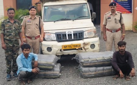 कटहल के नीचे छिपाकर ले जाया जा रहा था 125 किलो गांजा, महासमुंद पुलिस ने दो तस्करों को दबोचा