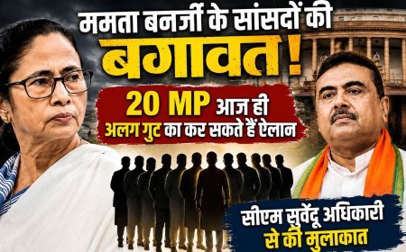 टीएमसी में बढ़ी अंदरूनी कलह, 20 सांसदों के अलग गुट बनाने की अटकलें तेज