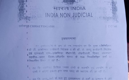 नौकरी के वादे पर जमीन अधिग्रहण का आरोप, भूविस्थापित कर्मचारियों ने कलेक्टर से लगाई गुहार