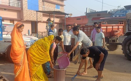 प्रधानमंत्री मोदी के 12 वर्ष पूर्ण होने पर ग्राम मोखा में भाजपा का स्वच्छता अभियान