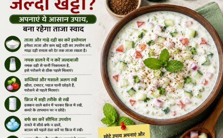 गर्मियों में रायता हो जाता है जल्दी खट्टा? अपनाएं ये आसान टिप्स, लंबे समय तक रहेगा ताजा