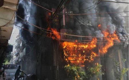 मालवीय नगर होटल अग्निकांड में मृतकों की संख्या 23 पहुंची, होटल मालिक और अकाउंटेंट 12 दिन की न्यायिक हिरासत में