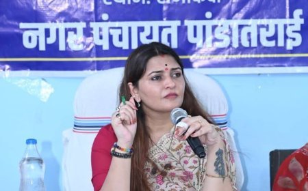 पांडातराई के विकास कार्यों की समीक्षा, अधिकारियों को समयबद्ध कार्य पूर्ण करने के निर्देश