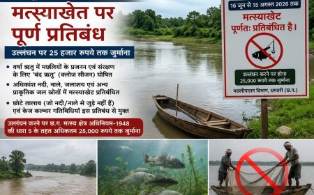 धमतरी जिले में 16 जून से 15 अगस्त तक मत्स्याखेट पर पूर्ण प्रतिबंध, उल्लंघन पर 25 हजार रुपये तक जुर्माना