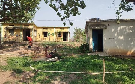 भानोरा में सरकारी जमीन पर अवैध कब्जे का आरोप, ग्रामीणों ने प्रशासन से की कार्रवाई की मांग