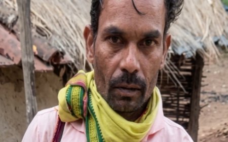 कान्हा टाइगर रिजर्व में बाघ के हमले में सुरक्षा श्रमिक की मौत, वन विभाग में शोक