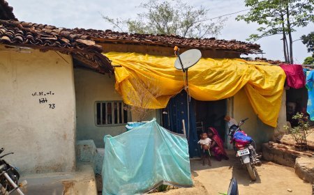 धवलपुरडीह में जमीन सीमांकन पर उठे सवाल, ग्रामीणों ने निष्पक्ष जांच की मांग की