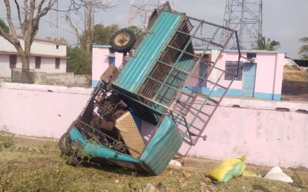 टेम्पो दीवार से टकराया, दो की मौत, 10 घायल