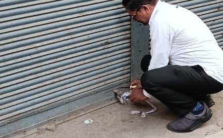 रायपुर नगर निगम ने एक दिन में 1.06 करोड़ से अधिक की राजस्व वसूली, बकायेदारों पर सख्ती