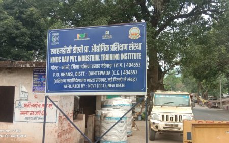 भांसी आईटीआई परिसर में बड़ा हादसा टला, गार्ड रूम पर गिरा विशाल पेड़