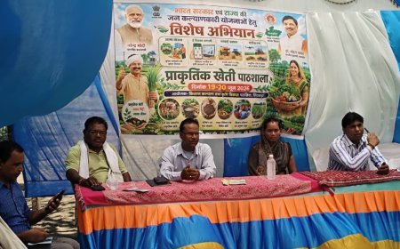 जमुनिया जेठू में प्राकृतिक खेती पाठशाला आयोजित, किसानों को बताए गए जैविक खेती के लाभ