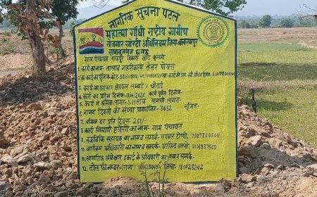 मनरेगा तालाब गहरीकरण में लाखों की अनियमितता का आरोप, ग्रामीणों ने मांगी तकनीकी जांच