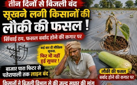 तीन दिनों से बिजली बंद, सिंचाई ठप होने से सूखने लगी किसानों की लौकी की फसल