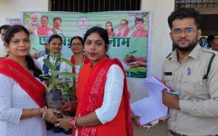 ‘एक पेड़ माँ के नाम’ अभियान से हरित होगा कबीरधाम, 9 लाख पौधरोपण का लक्ष्य