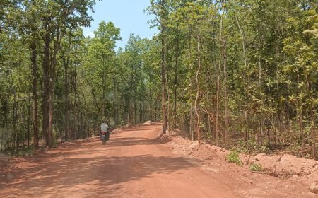 रावघाट परियोजना में बिना अनुमति पेड़ कटाई का मामला, वन विभाग की कार्यप्रणाली पर उठे सवाल