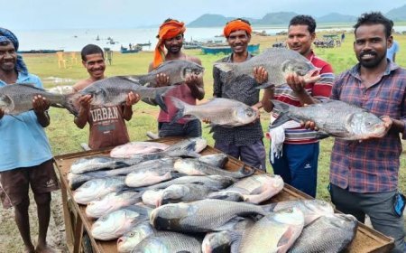 नीली क्रांति से बदल रही ग्रामीण तस्वीर, मछली पालन बना रोजगार और आत्मनिर्भरता का मजबूत आधार