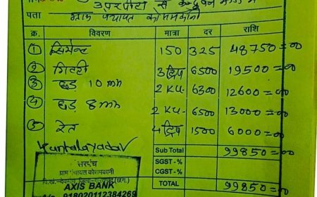 पुलिया मरम्मत में गड़बड़ी का आरोप, ग्रामीणों ने पंचायत पर लगाए भ्रष्टाचार के गंभीर आरोप