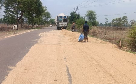 ओवरलोड भूसा गाड़ी का टायर फटा, घंटों उड़ते भूसे से राहगीर परेशान