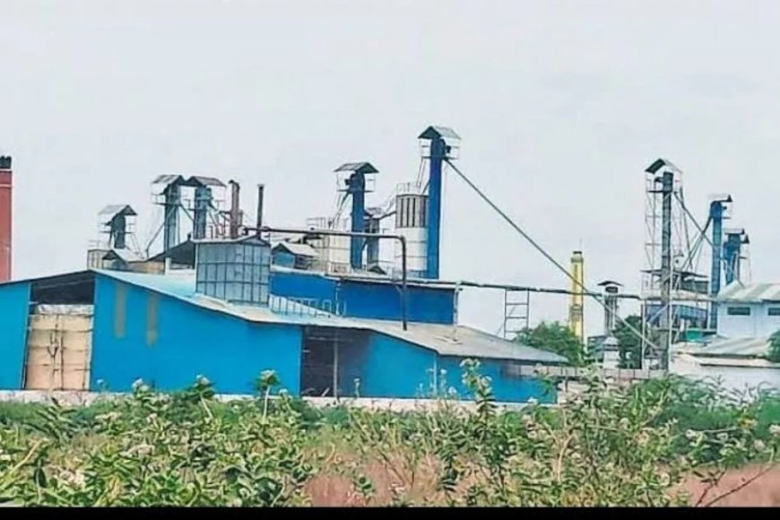 कस्टम मिलिंग उपार्जन आदेश के पालन पर उठे सवाल, खाद्य विभाग की कार्यप्रणाली पर लगे आरोप