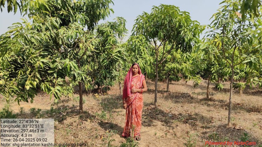 विश्व पर्यावरण दिवस पर रायगढ़ में हरित विकास का महाअभियान, जल संरक्षण और वृक्षारोपण को मिलेगी नई गति