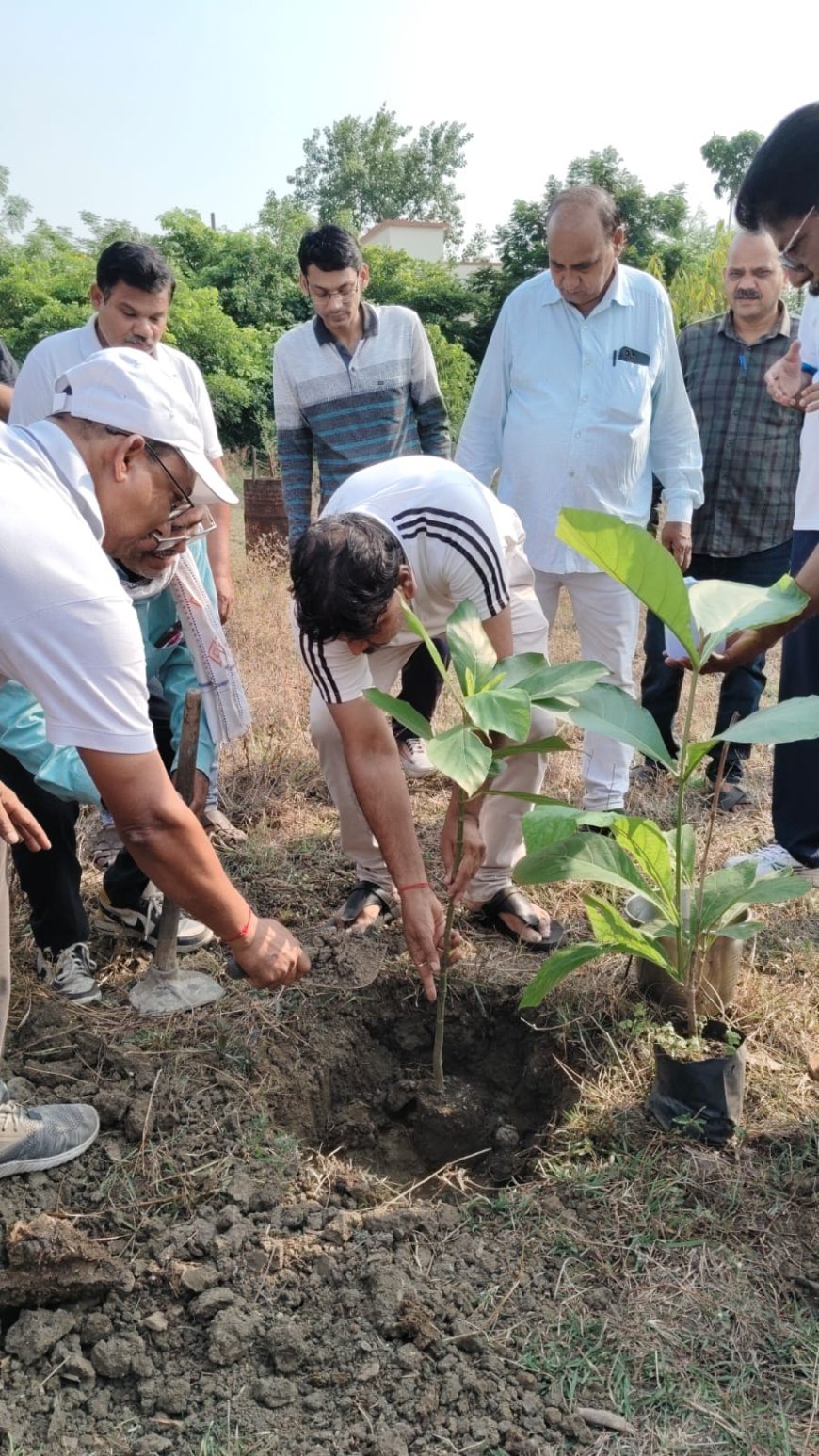 विश्व पर्यावरण दिवस पर रायपुर रेल मंडल में वृक्षारोपण, जलवायु परिवर्तन के प्रति जागरूकता का दिया संदेश