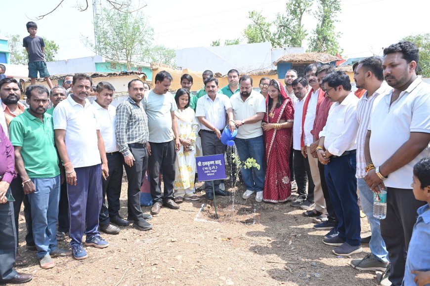 विश्व पर्यावरण दिवस पर विद्यालय परिसर में पौधारोपण, विधायक दीपेश साहू ने दिया पर्यावरण संरक्षण का संदेश