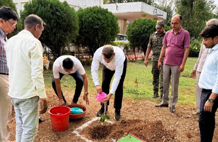 विश्व पर्यावरण दिवस पर कलेक्टर गोपाल वर्मा ने किया पौधरोपण, पर्यावरण संरक्षण का दिया संदेश
