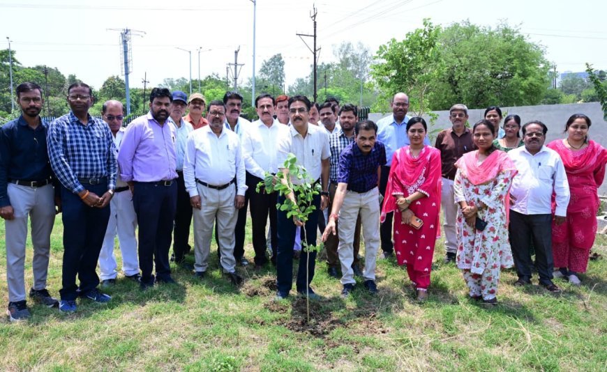 विश्व पर्यावरण दिवस पर संभागायुक्त कार्यालय में पौधरोपण, सुनील जैन ने दिया पर्यावरण संरक्षण का संदेश
