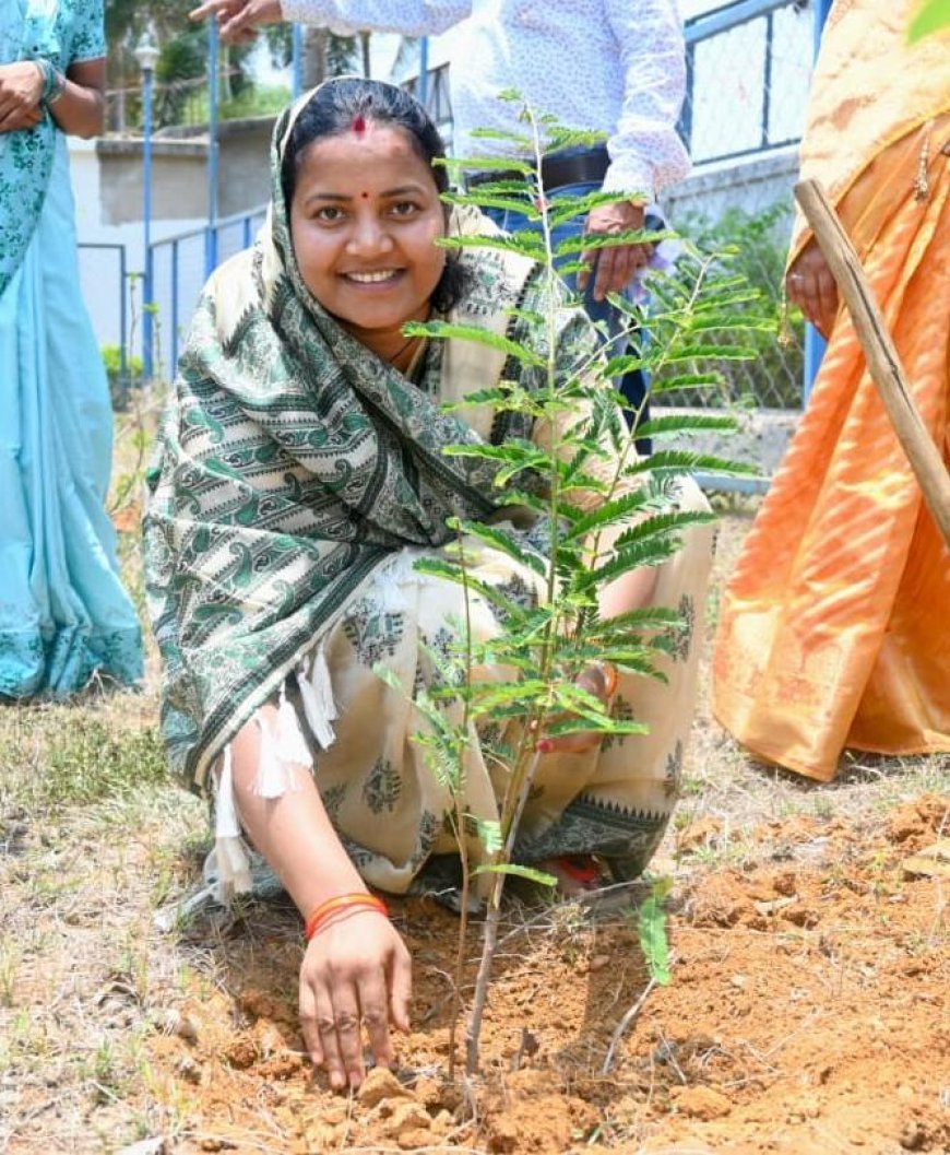 विश्व पर्यावरण दिवस पर लक्ष्मी राजवाड़े ने किया पौधरोपण, हरित छत्तीसगढ़ निर्माण का दिया संदेश