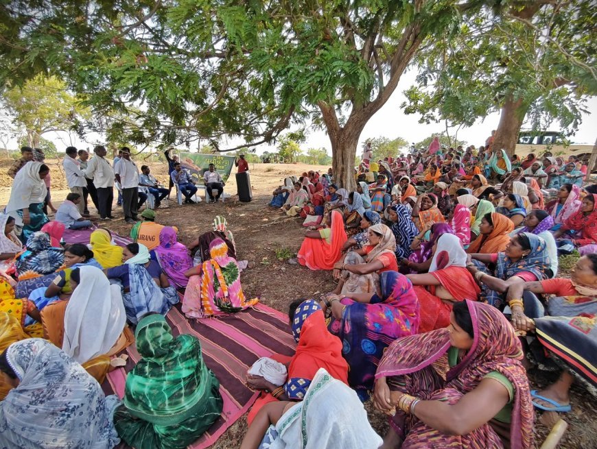 भैंसबोड़ में जल संरक्षण और हरियाली की अनोखी पहल, 3 हजार ट्रेंच में सीड बॉल से बीजारोपण