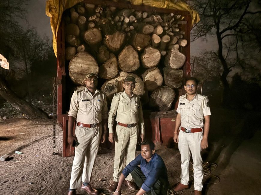 दुर्ग के ग्रामीण इलाकों में सक्रिय लकड़ी तस्कर, अब आम के फलदार पेड़ों पर भी मंडराया खतरा