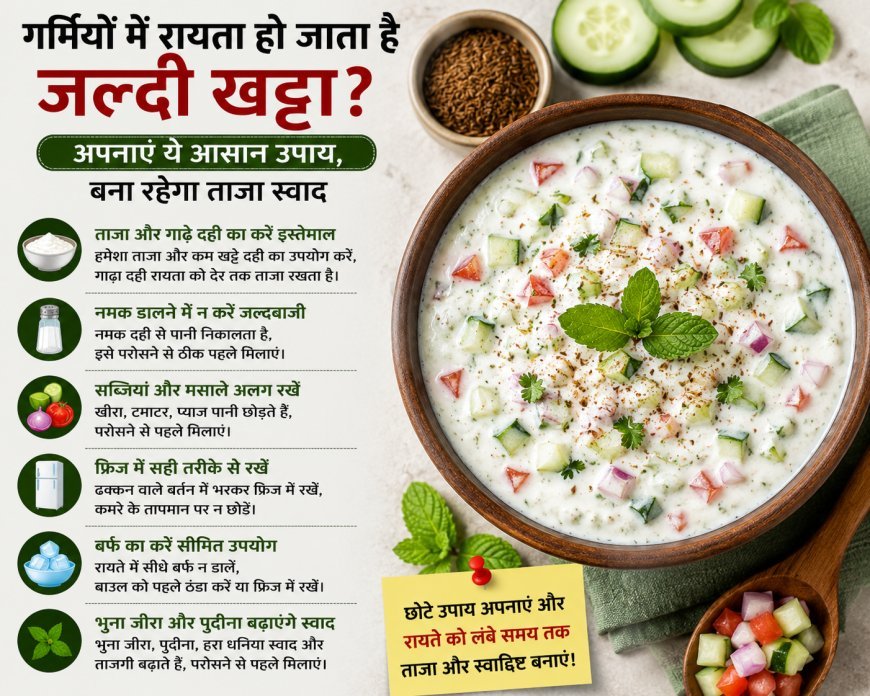 गर्मियों में रायता हो जाता है जल्दी खट्टा? अपनाएं ये आसान टिप्स, लंबे समय तक रहेगा ताजा
